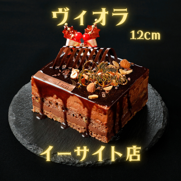 【イーサイト店受取】2025クリスマスヴィオラ